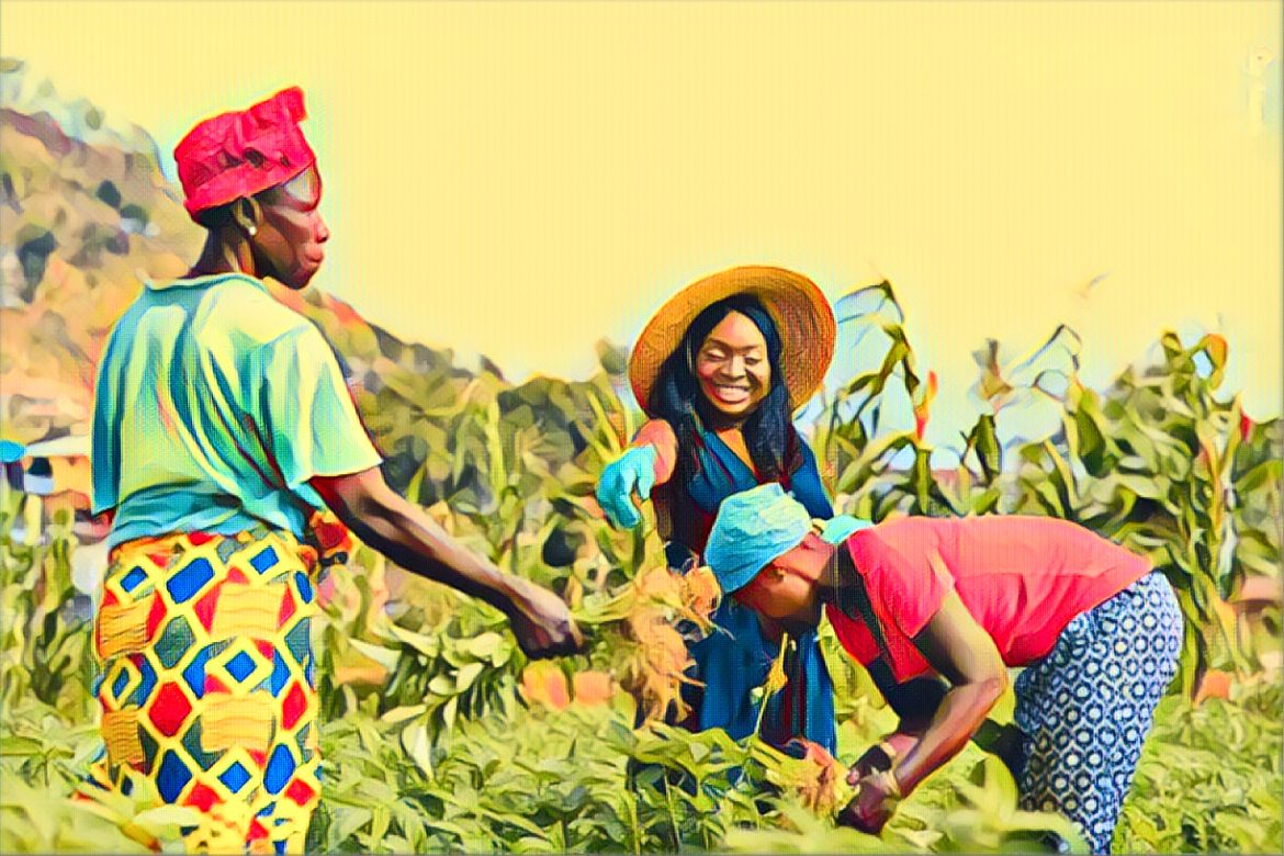 Nigerian women farmers