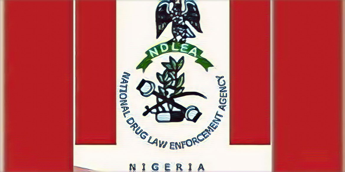 NDLEA Tinubu support