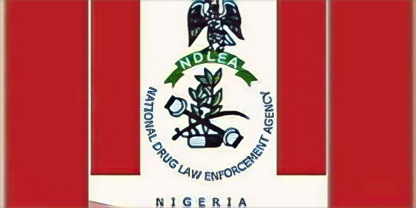 NDLEA Tinubu support