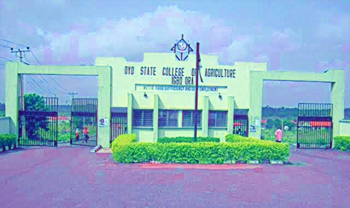 Edited in Prisma app h Painter