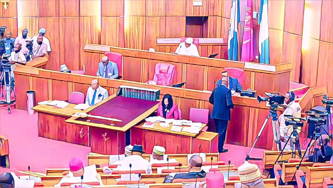 Senators Call for Increased Local Government Control, Divide Over State Police