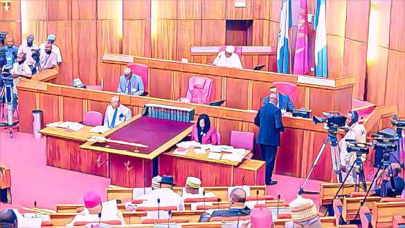 Senators Call for Increased Local Government Control, Divide Over State Police