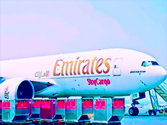 Travel Analyst Warns on Nigerian ‘’UAE Air Service Partnership