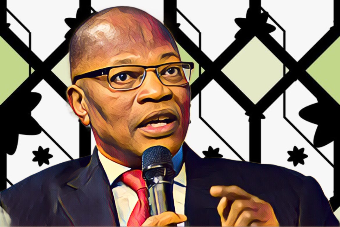 The AU delegate: Dangote refinery embodies transformative projects