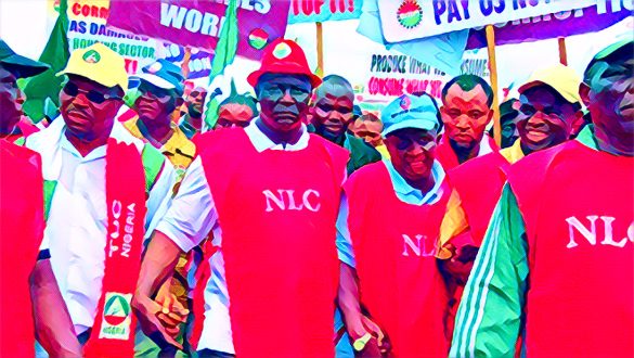 NLC Criticizes IMF and World Bank