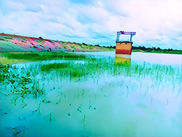 Seven Dams To Boost Irrigation, Food Security In South West, FG