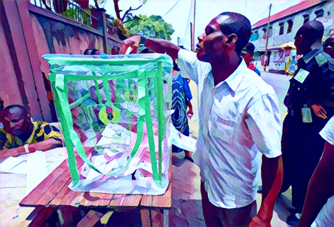 Nigerian youth voting