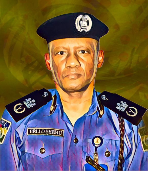 Katsina school security
