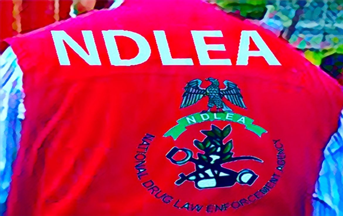 NDLEA Warns Nigerians Over Fake Medicinal Cannabis