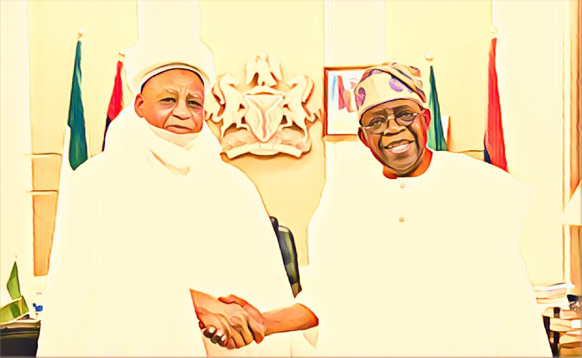 Tinubu Meets Sultan of Sokoto Amid Rising Religious Concerns