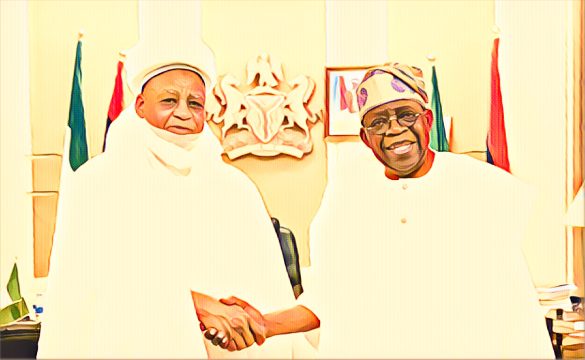 Tinubu Meets Sultan of Sokoto Amid Rising Religious Concerns