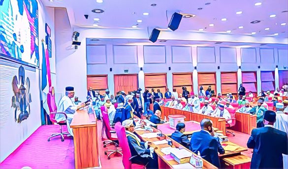 Senate Confirms 64 Ambassadors, Concerns Raised