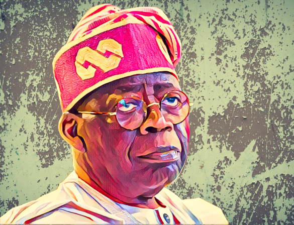 Tinubu Promises Faster Niger Delta Development