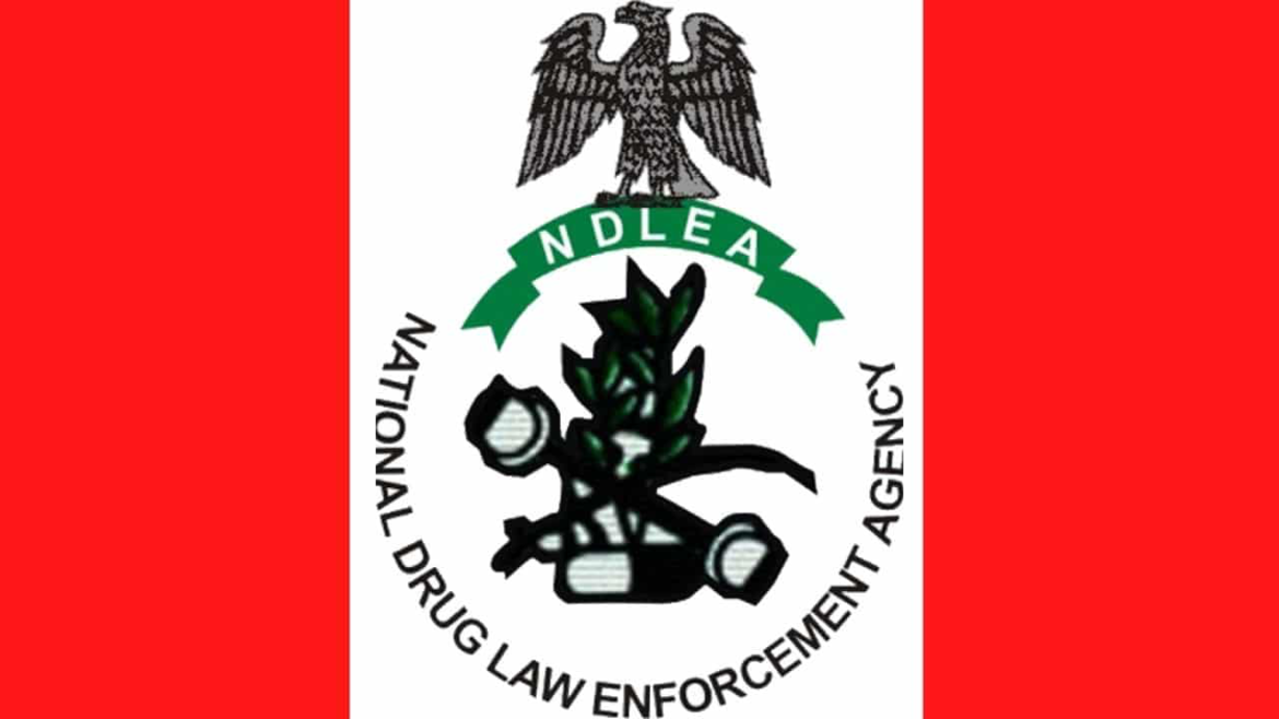 Tinubu hails NDLEA over $360m drug bust