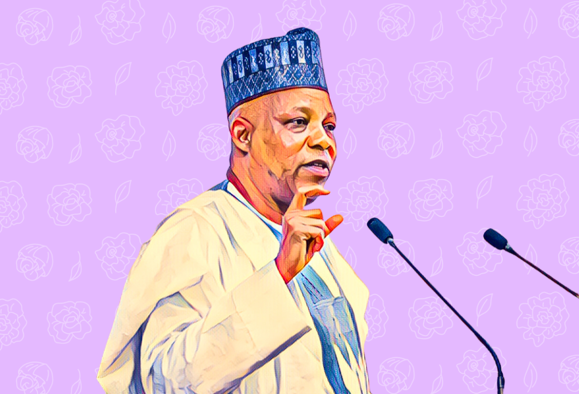 Tinubu has taken the bullet for painful economic decisions, says Shettima