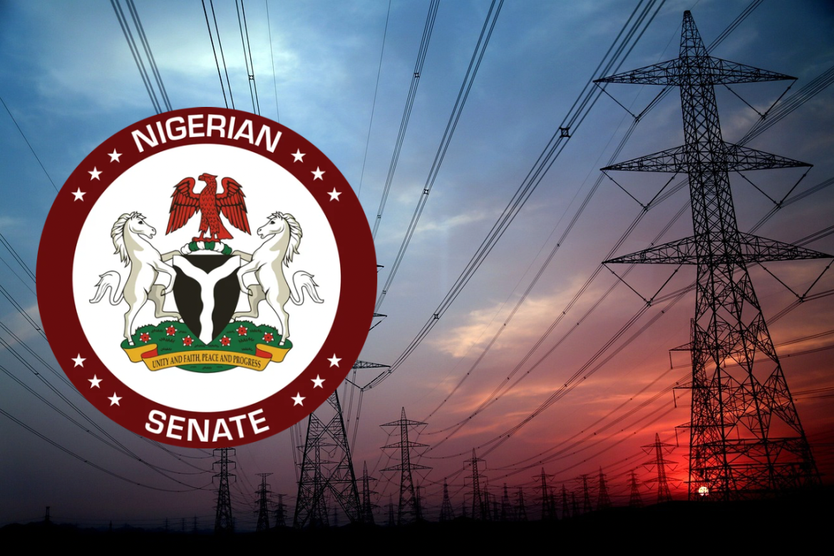 States kick as Senate moves to amend Electricity Act